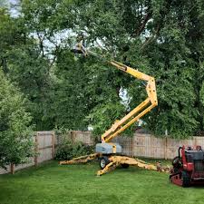 Mcconnellstown, PA  Tree Services Company